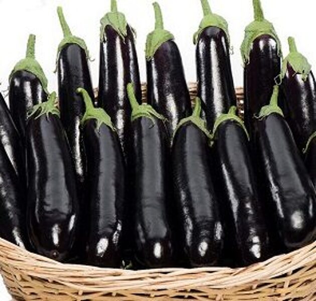 Baklažāni  GORTINA F1 50 gab  Yuksel Tohum