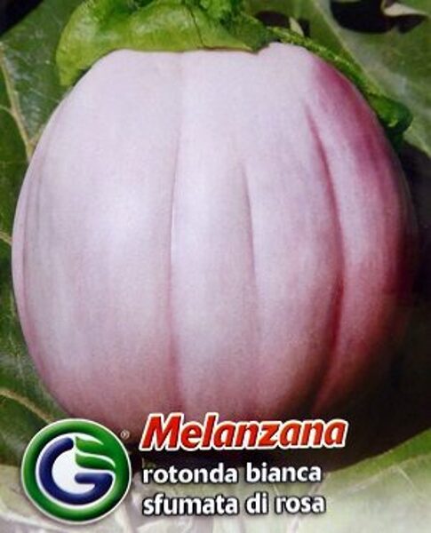 Baklažāni Bianca sfumata di Rosa 2.2 g Galassi Sementi 