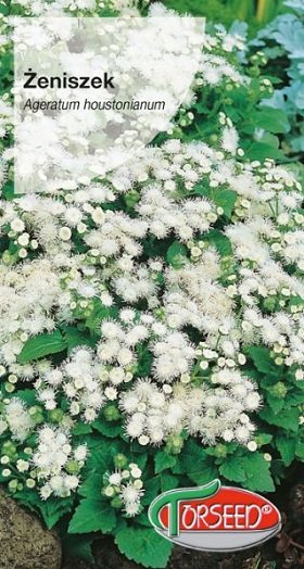 Meksikas agerāts balts White Ball 0,25 g Torseed