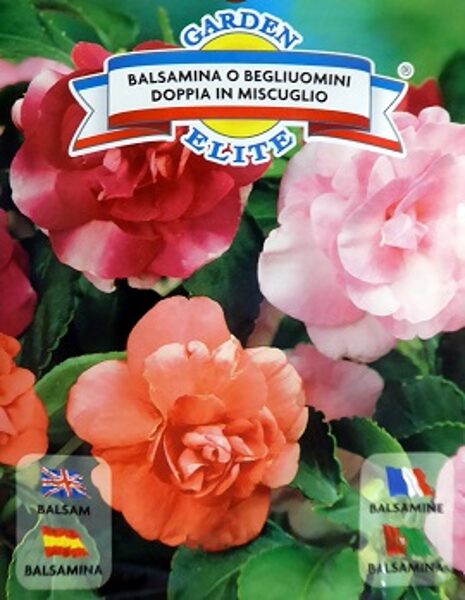  Balzamīnes O BEGLIUOMINI DOPPIA MIX 1 g Galassi Sementi