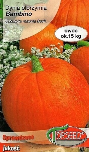 Ķirbji BAMBINO 5 g Torseed A.P.