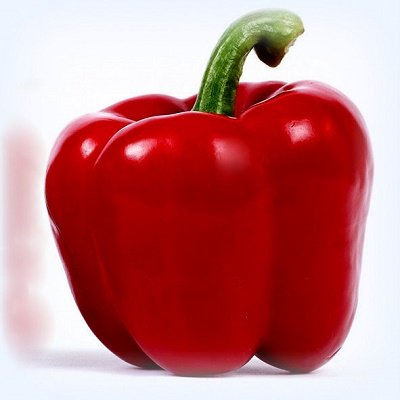 Paprika Banckers F1  5 gab Enza Zaden