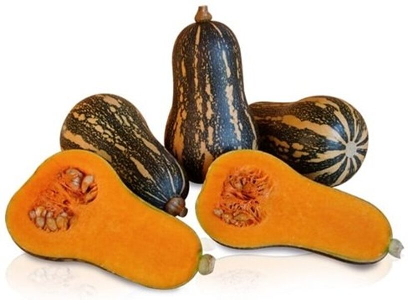 Ķirbji sviesta BARBARA F1 9 gab Sakata