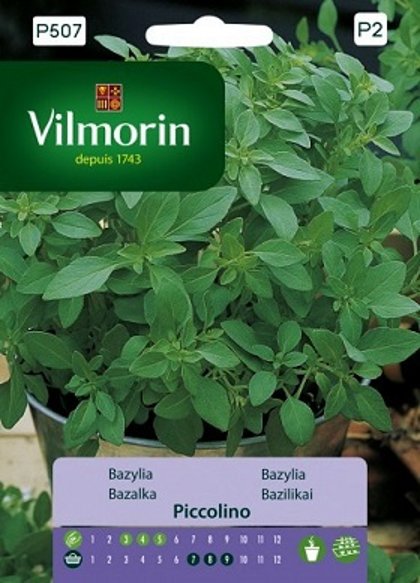 Baziliks Piccolino 1 g Vilmorin