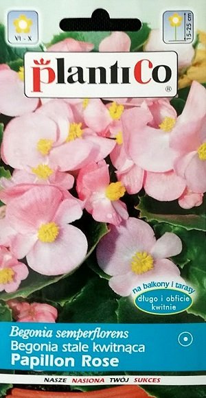 Ilgziedīgā begonija- Leduspuķe  Papillon Rose 0.1 g PlantiCo
