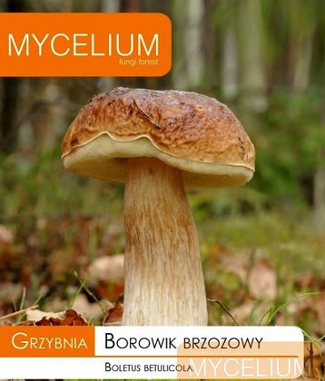 Bērzu baravikas micēlijs 10 g Mycelium