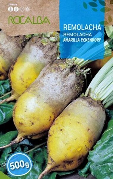  Lopbarības bietes Amarilla Eckendorf 500 g ROCALBA