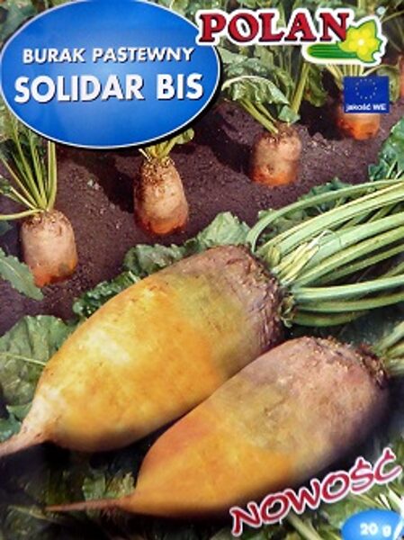 Lopbarības bietes SOLIDAR BIS 20 g POLAN