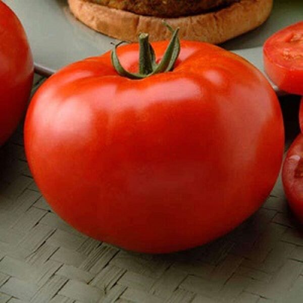 Tomāti BIG BEEF F1  15 gab Seminis