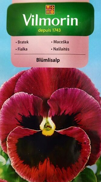 Atraitnītes lielziedu tumši sarkanas BLUMLISALP 0.5 g Vilmorin