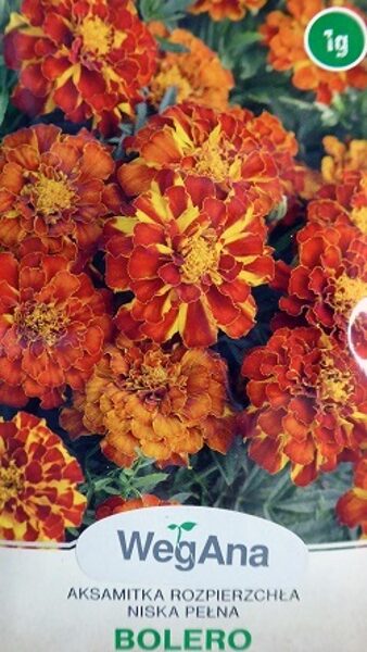 Samtenes zemās Bolero 1 g WegAna