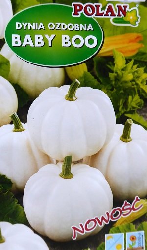 Ķirbji dekoratīvie BABY BOO 1.5 g Polan   A.P.