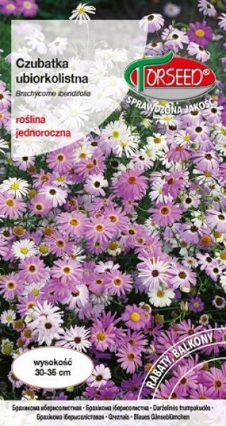 Brakihoma Margrietiņa  (Czubatka ubiorkolistna) 0.2 g Torseed
