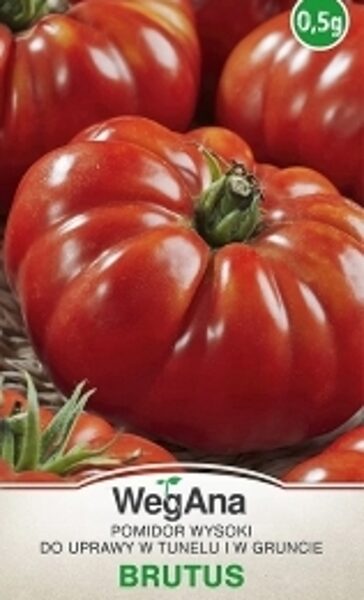 Tomāti  BRUTUS 0.5 g WerbAna 