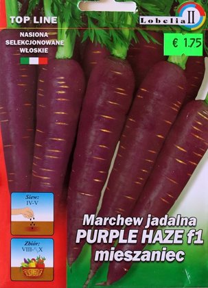 Burkāni PURPLE HAZE F1 0.5 g Lobelia