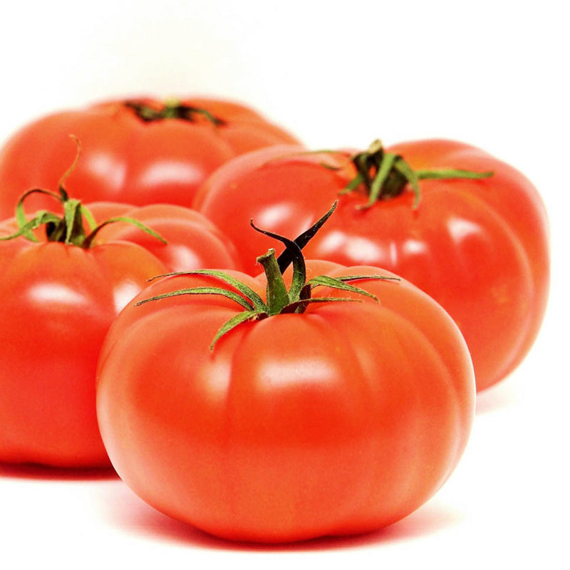 Tomāti CARMELLO F1 10 gab Syngenta
