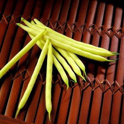 Sviesta pupiņas CARSON 100 g Syngenta