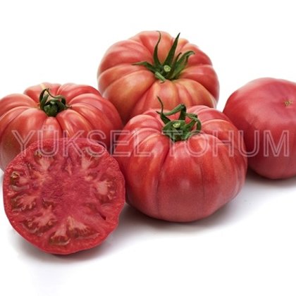 Tomāti CASSAROSA F1  3 gab Yuksel Tohum
