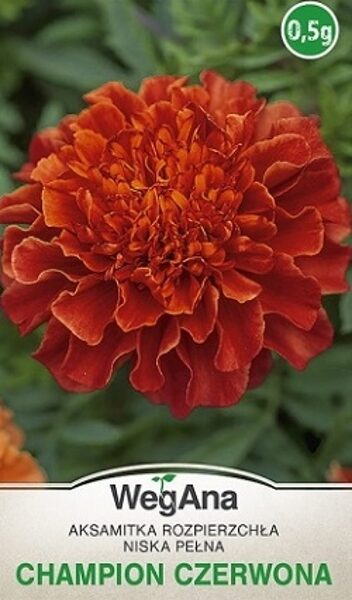 Samtenes zemās pildītās sarkanas Champion 0.5 g WegAna
