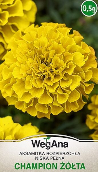 Samtenes zemās pildītās dzeltenas Champion 0.5 g WegAna