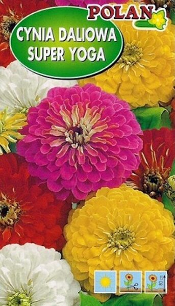 Cinnijas dāliju SUPER YOGA MIX 1 g Polan