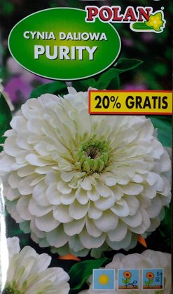 Cinnijas dāliju Purity 1.2 g Polan