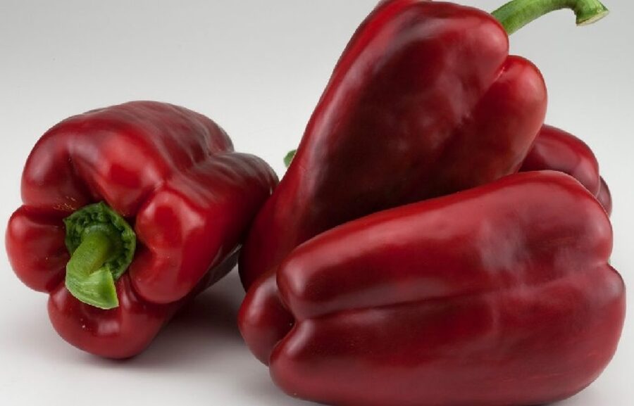 Paprika CLAUDIO F1 20 gab Nunhems
