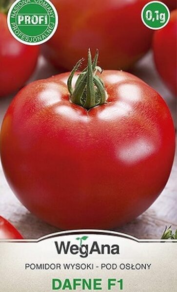 Tomāti Dafne F1 0.1 g WegAna