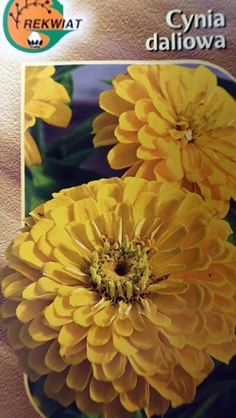 Cinnijas dāliju Golden Down  1 g Rekwiat A.P.