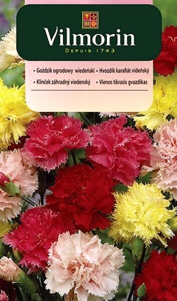 Dārza neļķes MIX 0.5 g Vilmorin