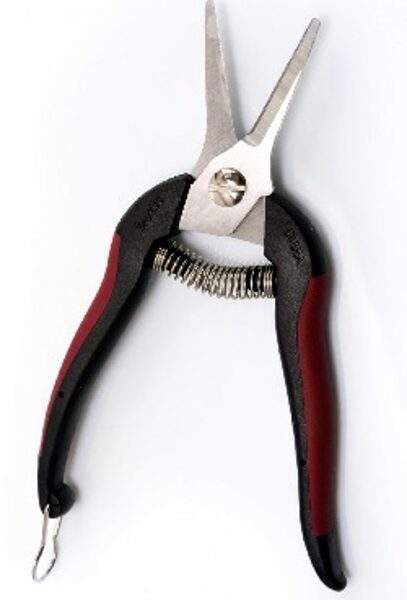 DĀRZA ŠĶĒRES VĪNOGU NOVĀKŠANAI  ARNO 