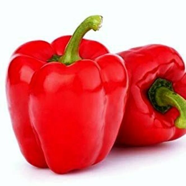 Paprika Dragoney F1 30 gab Enza Zaden