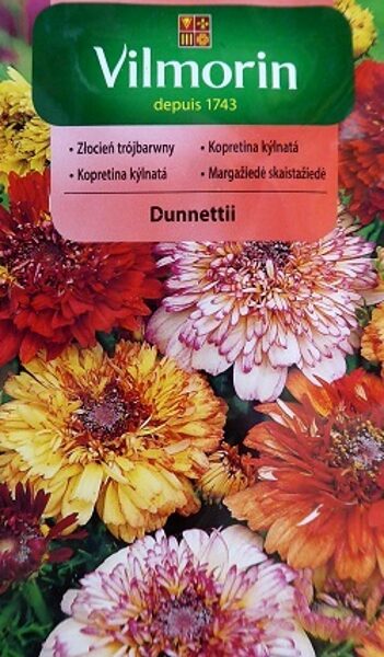 Krizantēma ķīļveida pildītā MIX  Dunnetti  300 mg Vilmorin