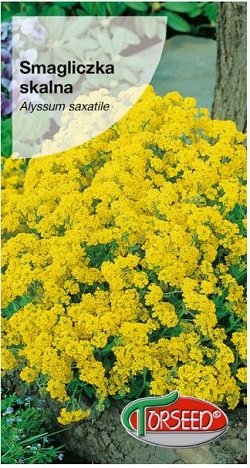 Klinšu alise dzeltena 0.5 g Torseed