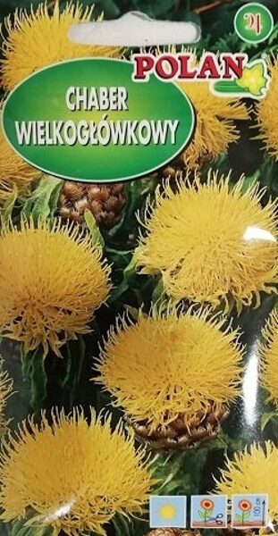 Lielgalvainā dzelzene 1 g Polan