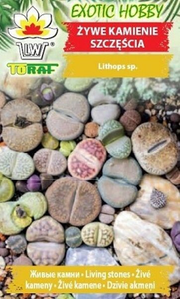 Litops vai Dzīvie akmeņi maisījums 20 gab TORAF