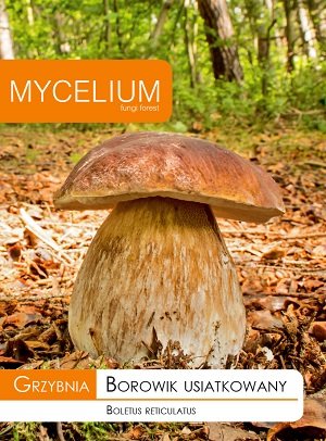 Ozolu baravikas micēlijs 10 g Mycelium