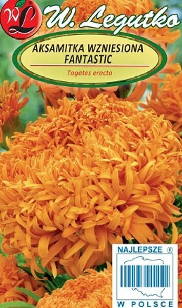 Samtenes lielziedu augstās FANTASTIC oranžas 0.4 g W.Legutko