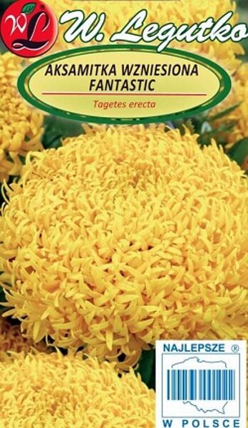 Samtenes lielziedu augstās FANTASTIC dzeltenas 0.3 g W.Legutko