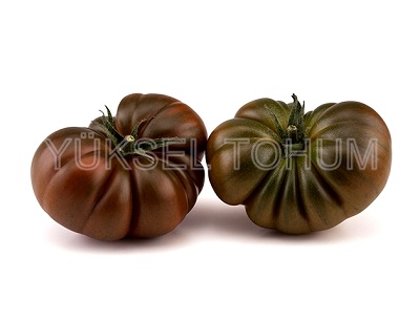 Tomāti BUCANERO F1 3 gab Yuksel Tohum