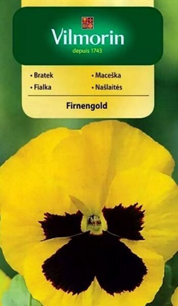 Atraitnītes lielziedu  Firnengold 0.5 g Vilmorin