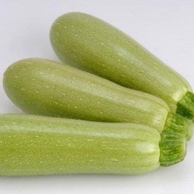 Kabači EZRA F1  15 gab Hazera  