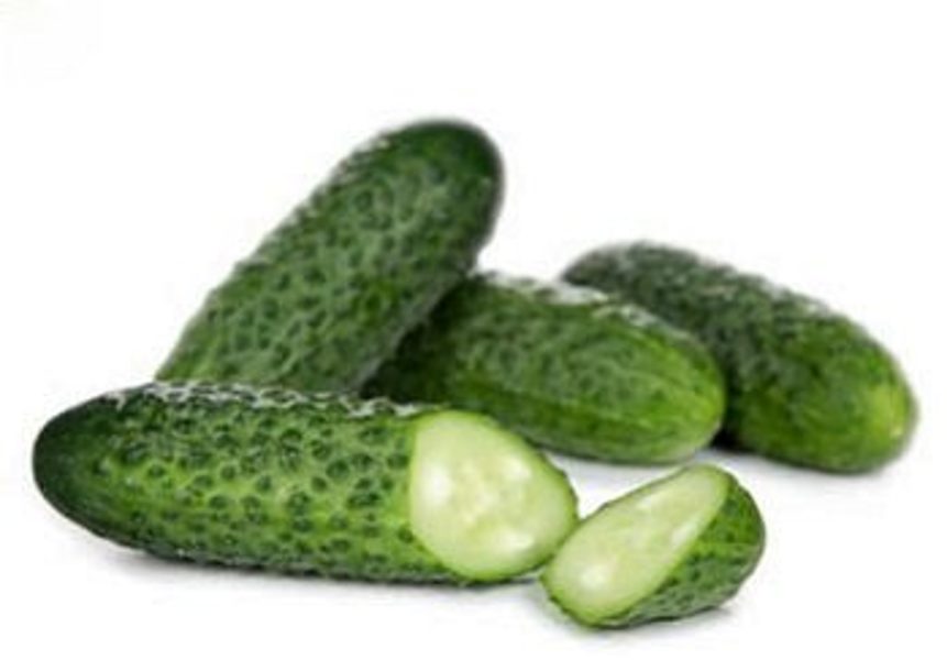 Gurķi Chaikovskiy RZ F1 100 gab Rijk Zwaan