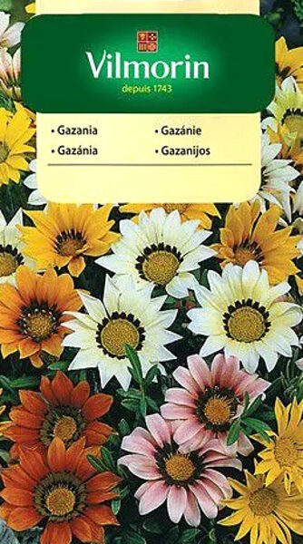 Spilgtā gazānija MIX 200 mg Vilmorin