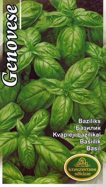 Baziliks Genovese 1 g Kurzemes sēklas A.P.