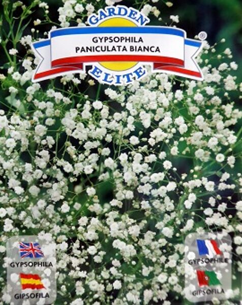 Skarainā ģipsene 0.7 g Galassi Sementi