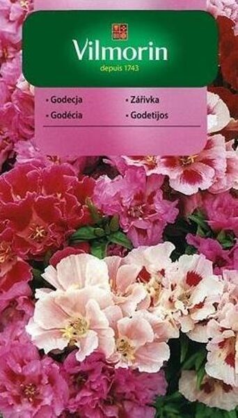 Lielziedu godēcija MIX 1 g Vilmorin