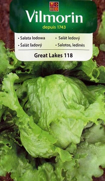 Salāti ledus Great Lakes 118  1 g Vilmorin