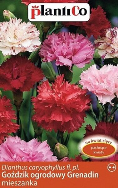Dārza neļķe GRENADIN MIX 0.5 g PlantiCo