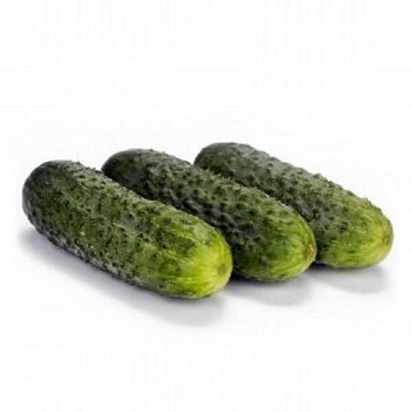 Gurķi BERLIOZ F1 100 gab Rijk Zwaan